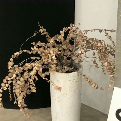 高台FurryQQ群介绍